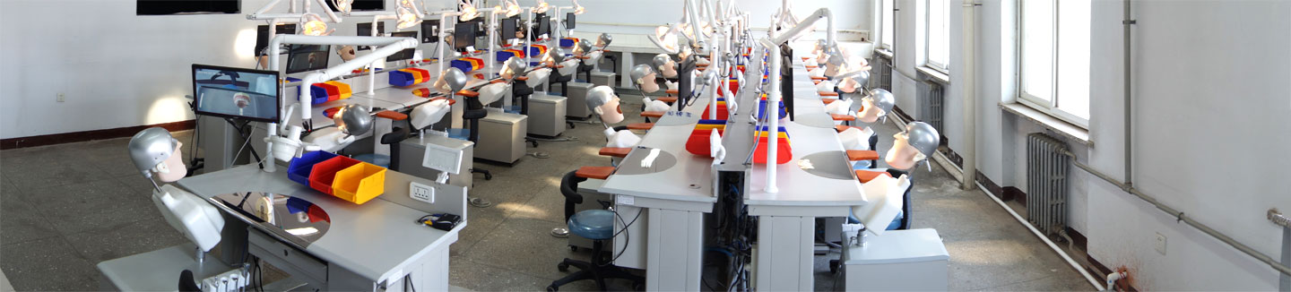 邯鄲市宏思特口腔科教具有限公司